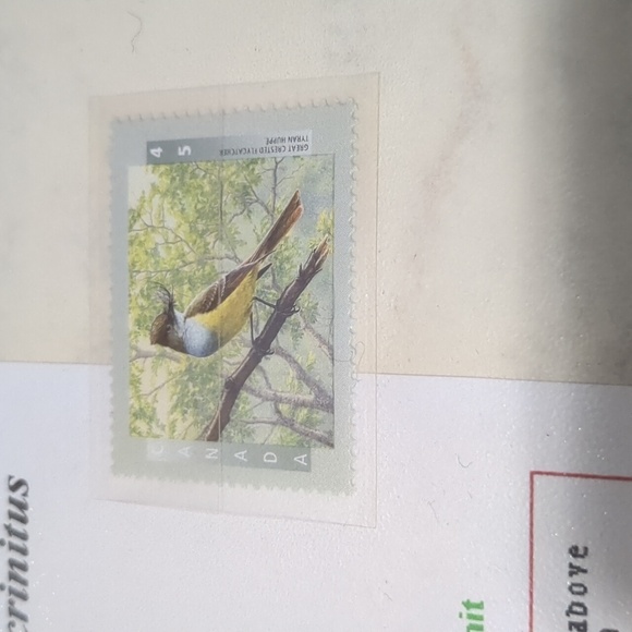Great Crested Flycatcher Stamps With Information And Maps - Picture 4 of 4